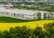 Skladová plocha Trenčín - 7000  m2 - fotografia 3